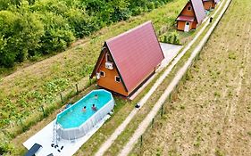Pyramid Energy House